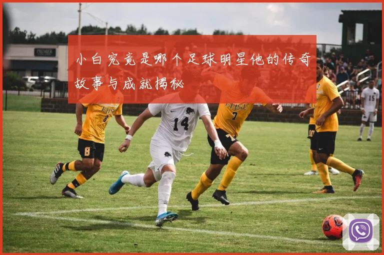 小白究竟是哪个足球明星他的传奇故事与成就揭秘