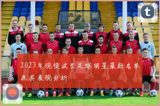 2023年现役波兰足球明星最新名单及其表现分析