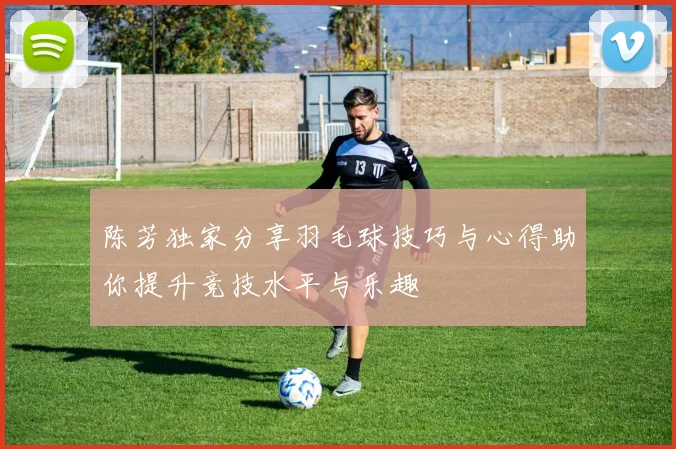 陈芳独家分享羽毛球技巧与心得助你提升竞技水平与乐趣