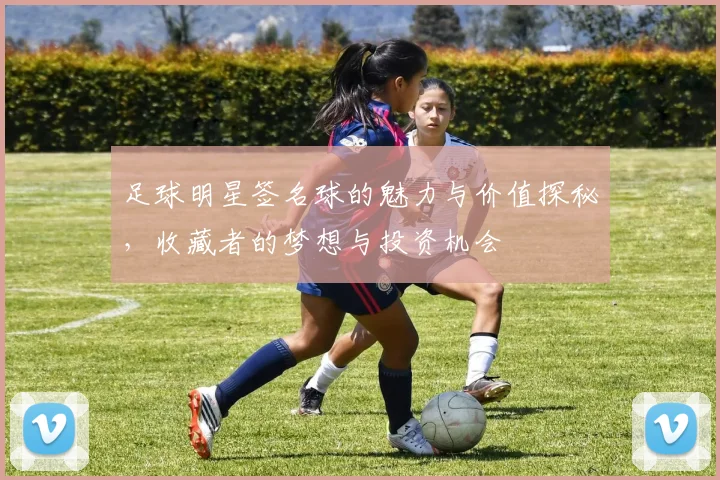 足球明星签名球的魅力与价值探秘，收藏者的梦想与投资机会