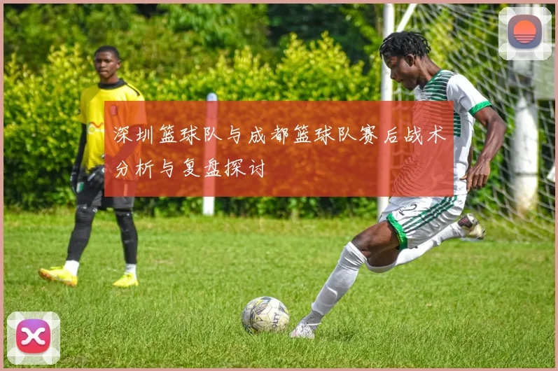 深圳篮球队与成都篮球队赛后战术分析与复盘探讨