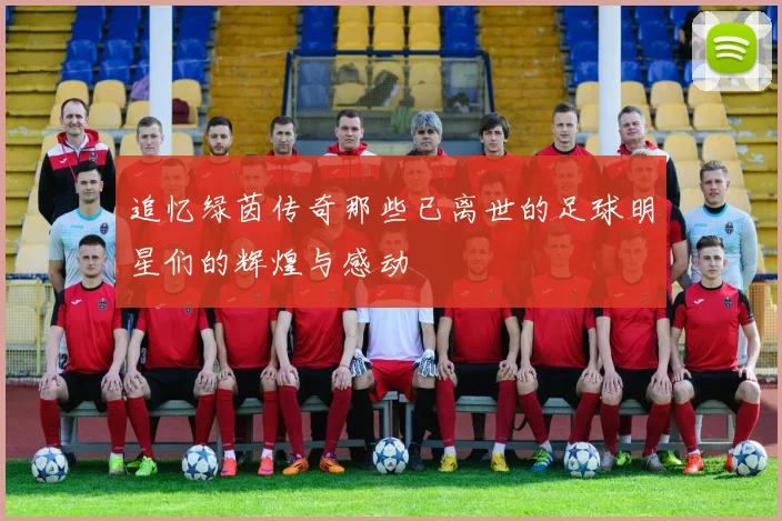 追忆绿茵传奇那些已离世的足球明星们的辉煌与感动