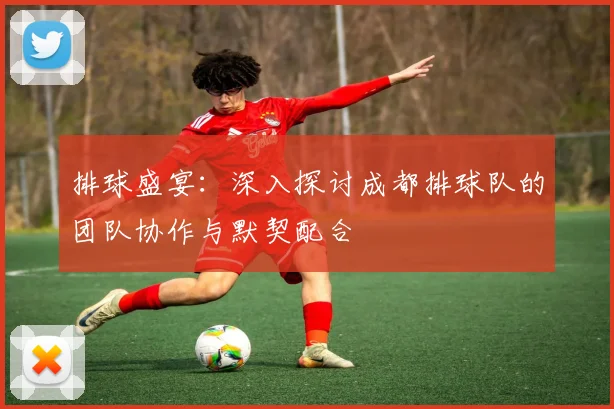 排球盛宴：深入探讨成都排球队的团队协作与默契配合