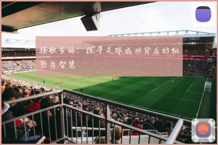 杨敏专访：探寻足球成功背后的秘密与智慧