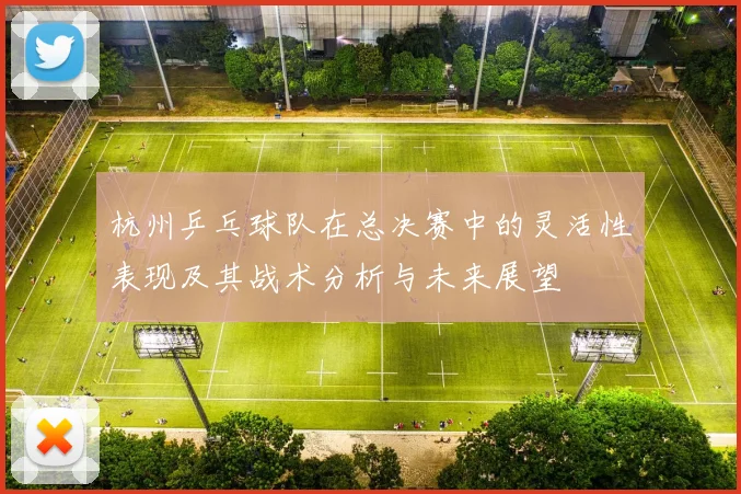 杭州乒乓球队在总决赛中的灵活性表现及其战术分析与未来展望