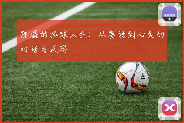 陈磊的排球人生：从赛场到心灵的对话与反思