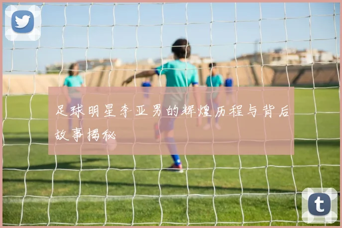 足球明星李亚男的辉煌历程与背后故事揭秘