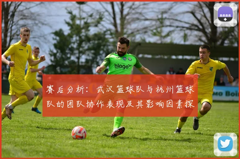赛后分析：武汉篮球队与杭州篮球队的团队协作表现及其影响因素探讨