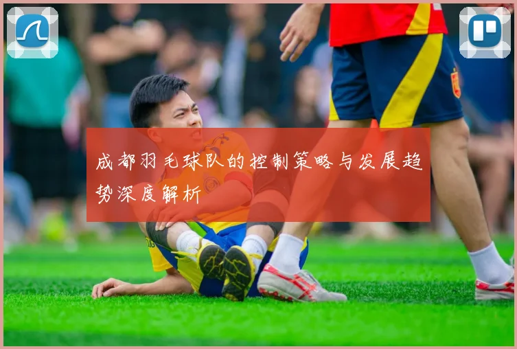 成都羽毛球队的控制策略与发展趋势深度解析