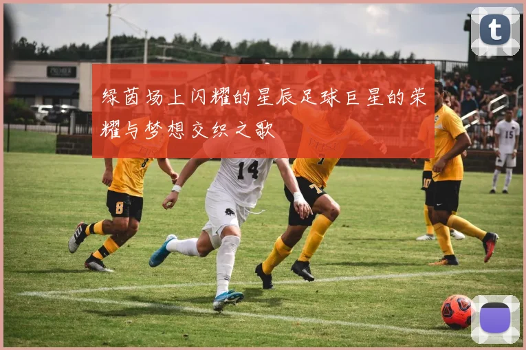绿茵场上闪耀的星辰足球巨星的荣耀与梦想交织之歌