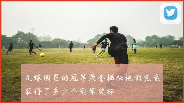 足球明星的冠军荣誉揭秘他们究竟获得了多少个冠军奖杯