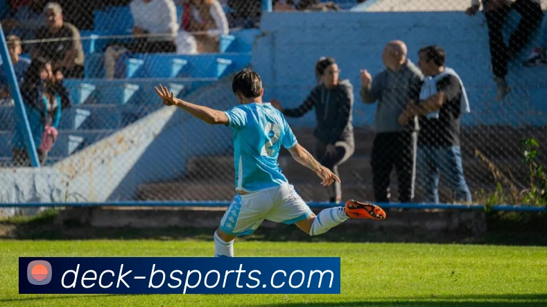 b体育平台生态图